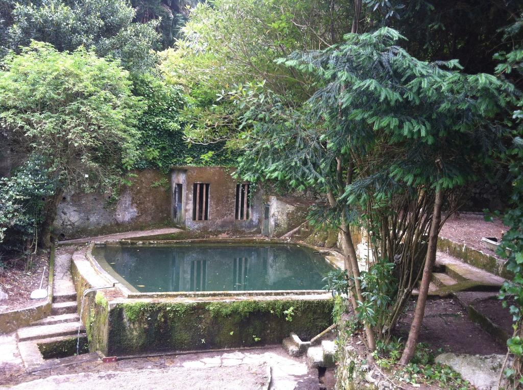 מלון סינטרה Quinta Do Castanheiro מראה חיצוני תמונה