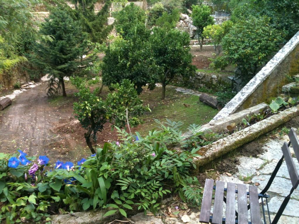 מלון סינטרה Quinta Do Castanheiro מראה חיצוני תמונה