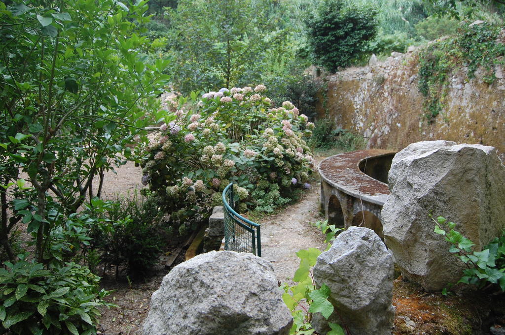 מלון סינטרה Quinta Do Castanheiro מראה חיצוני תמונה