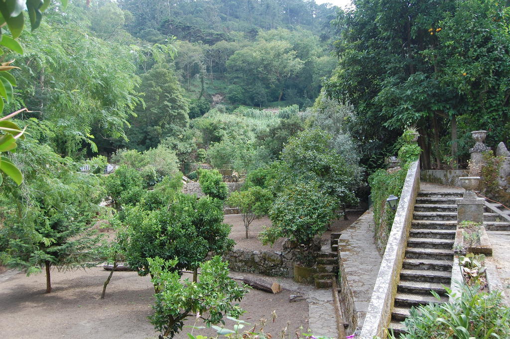 מלון סינטרה Quinta Do Castanheiro מראה חיצוני תמונה