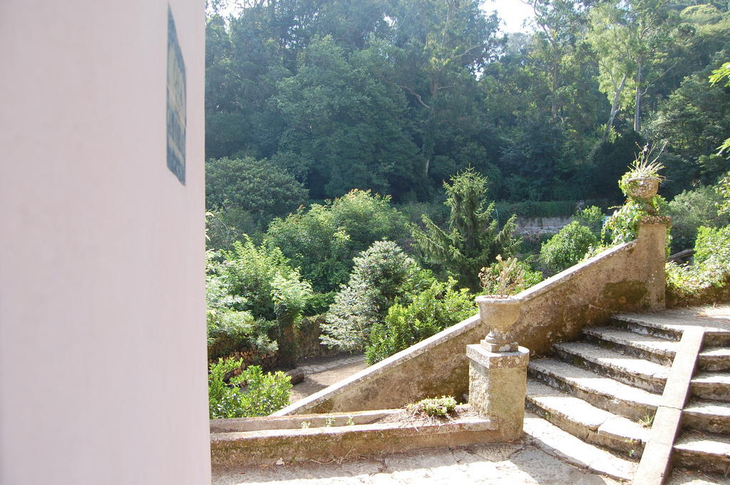 מלון סינטרה Quinta Do Castanheiro מראה חיצוני תמונה