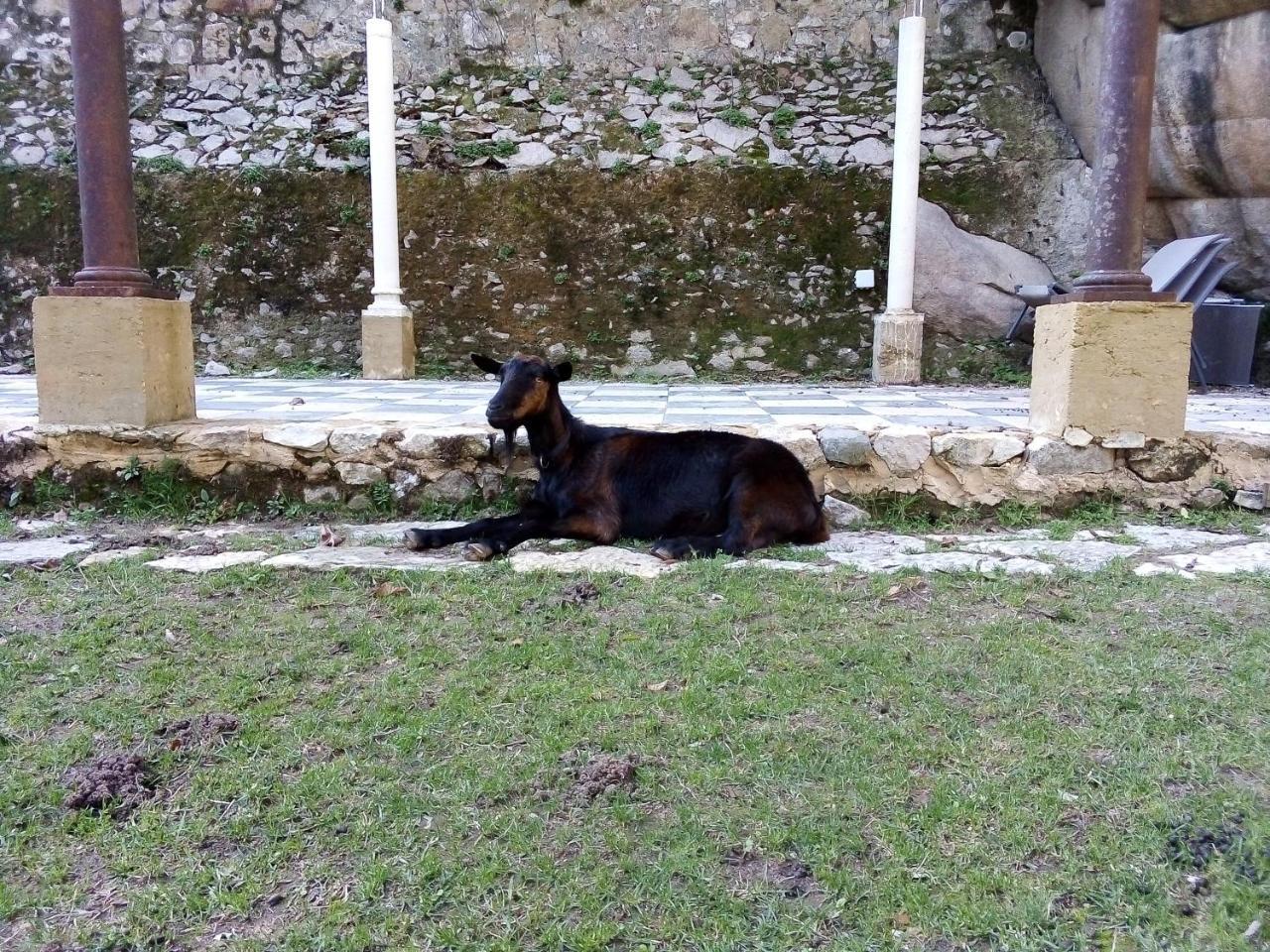 מלון סינטרה Quinta Do Castanheiro מראה חיצוני תמונה